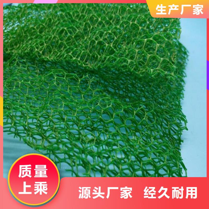 三维植被网-聚乙烯醇纤维定制批发