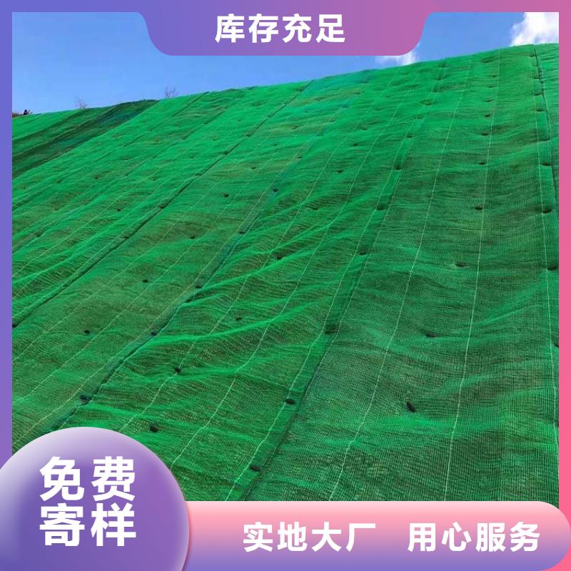 三维植被网【水平止水铜片】生产厂家