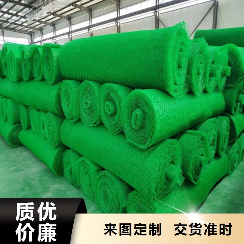 三维植被网【水平止水铜片】生产厂家
