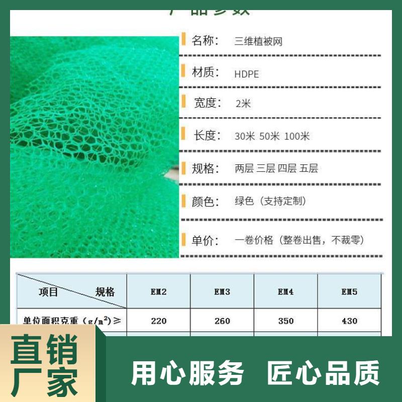 三维植被网_沥青麻絮品质无所畏惧