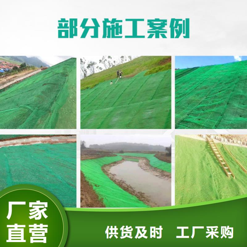 三维植被网【水平止水铜片】生产厂家