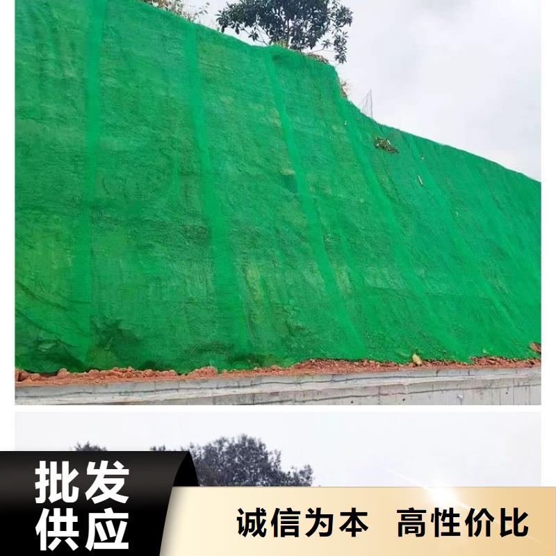 三维植被网-聚乙烯醇纤维定制批发