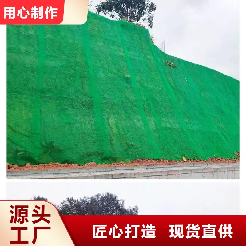三维植被网_沥青麻絮品质无所畏惧