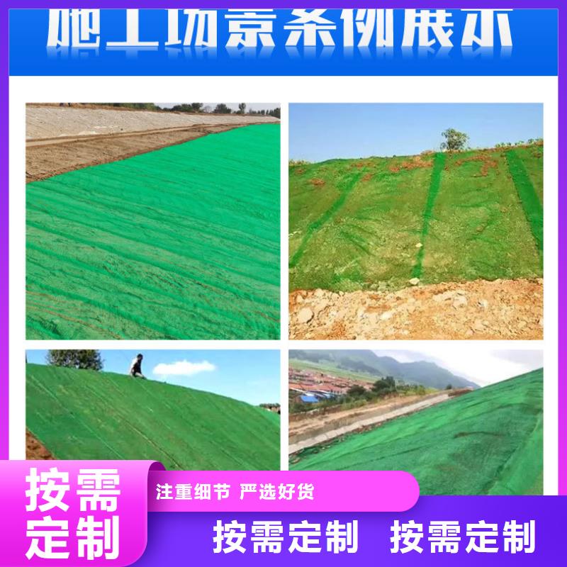 三维植被网-聚乙烯醇纤维定制批发