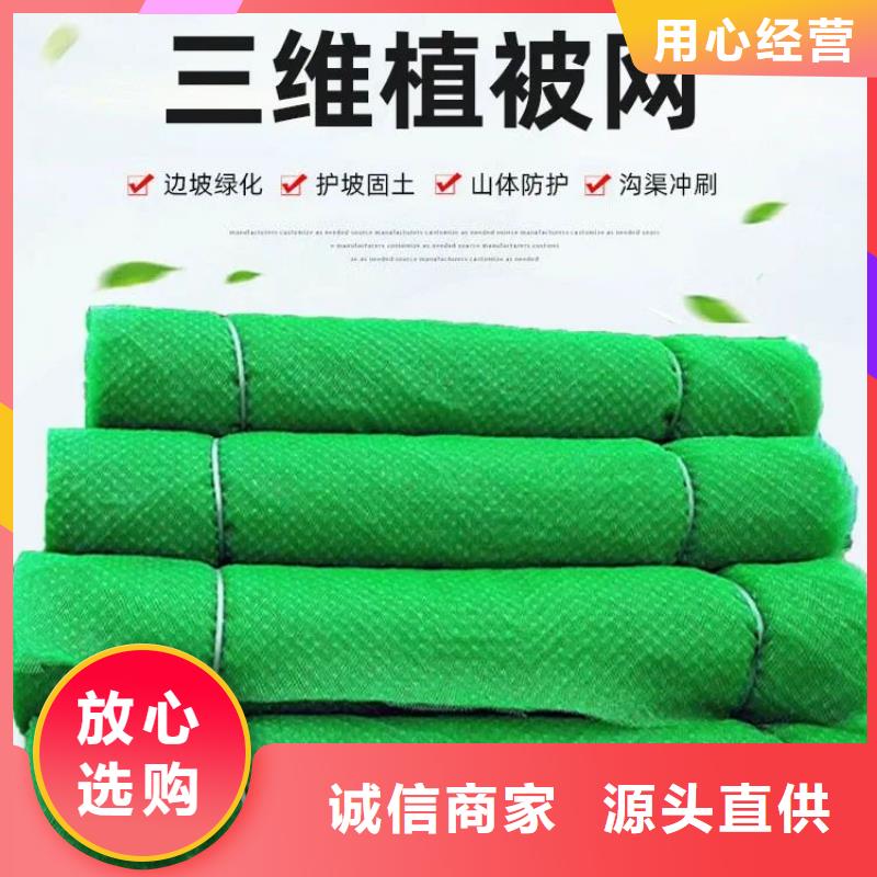 三维植被网-聚乙烯醇纤维定制批发