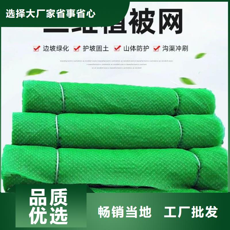 三维植被网【水平止水铜片】生产厂家