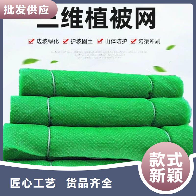 三维植被网【水平止水铜片】生产厂家