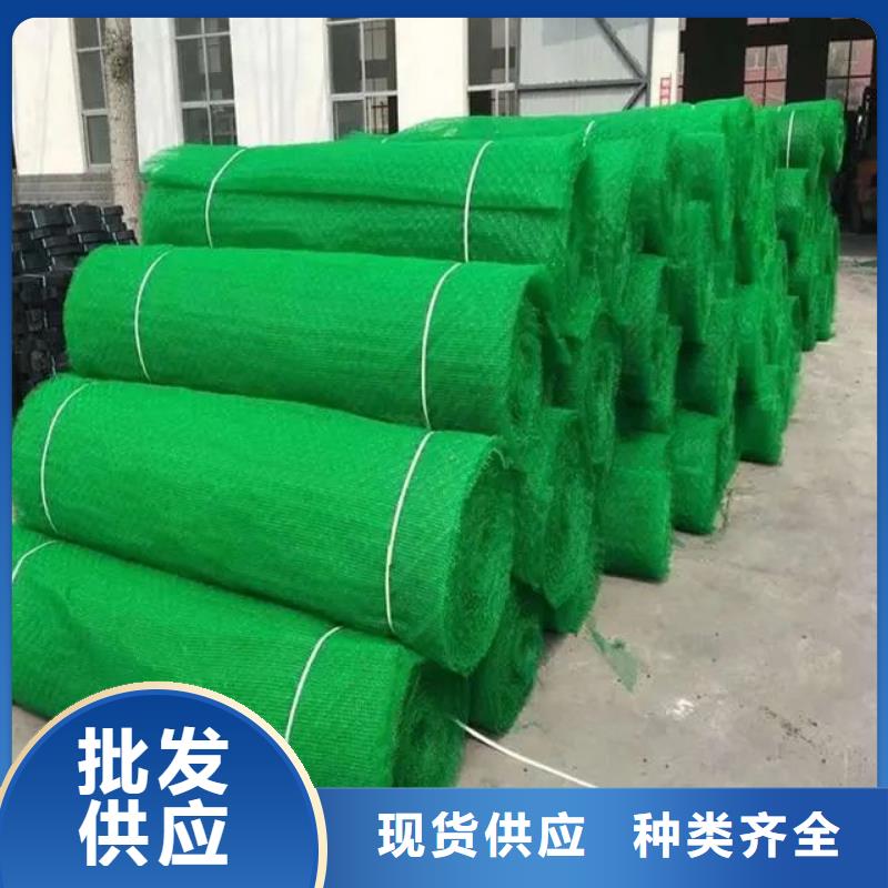 三维植被网【水平止水铜片】生产厂家