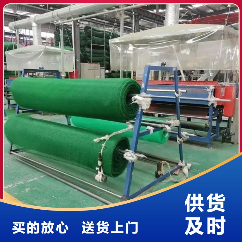 三维植被网-聚乙烯醇纤维定制批发