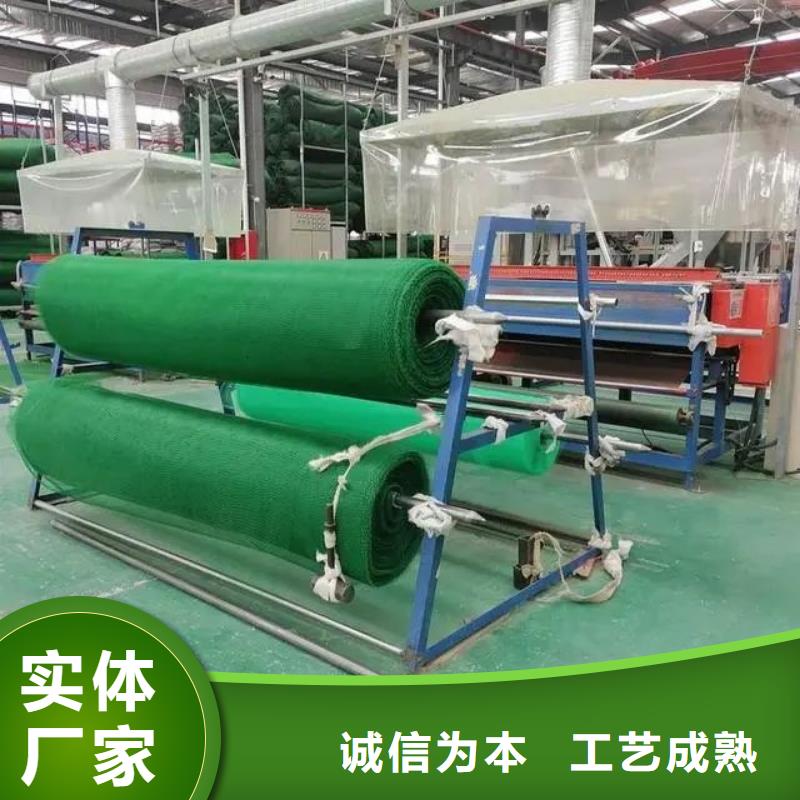 三维植被网【水平止水铜片】生产厂家