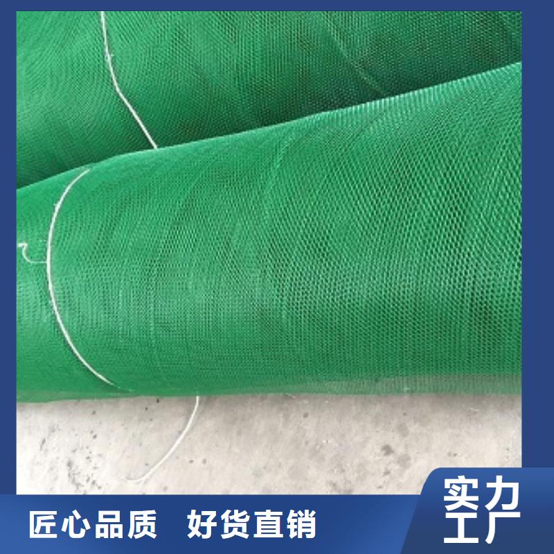 三维植被网_沥青麻絮品质无所畏惧