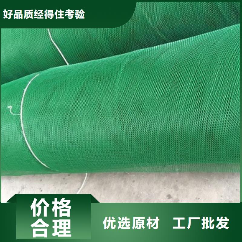三维植被网【水平止水铜片】生产厂家