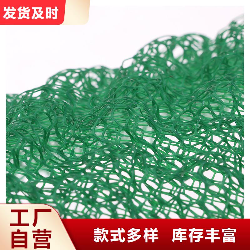 三维植被网_沥青麻絮品质无所畏惧