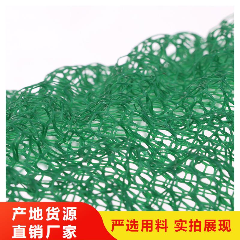 三维植被网-聚乙烯醇纤维定制批发