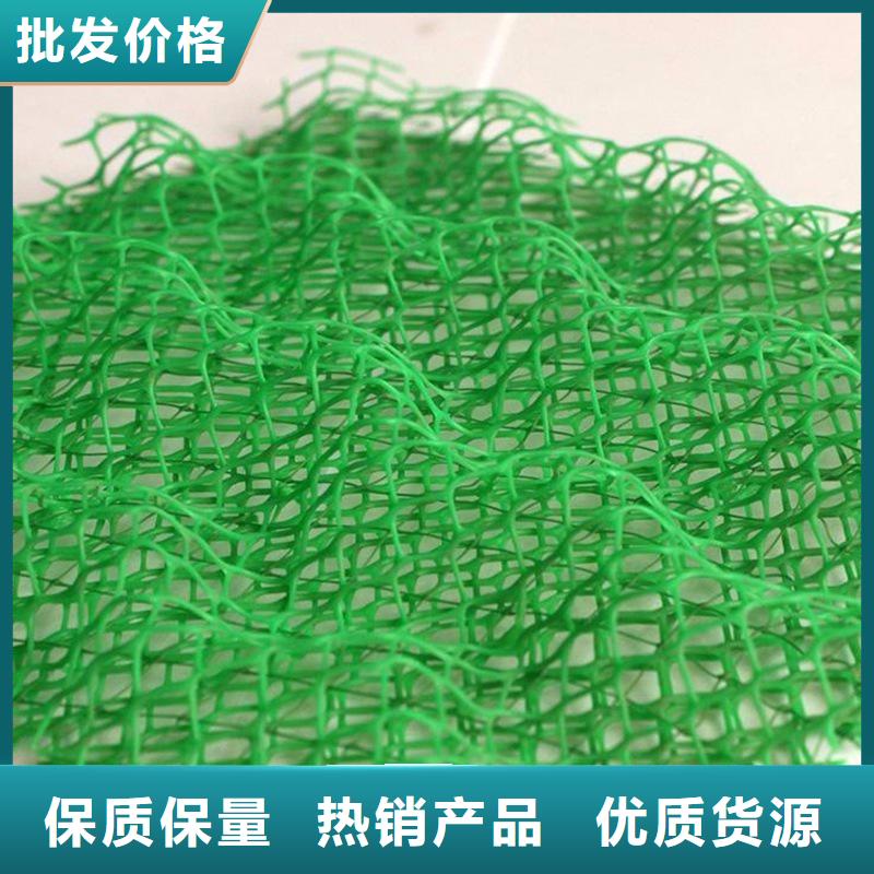 三维植被网-聚乙烯醇纤维定制批发