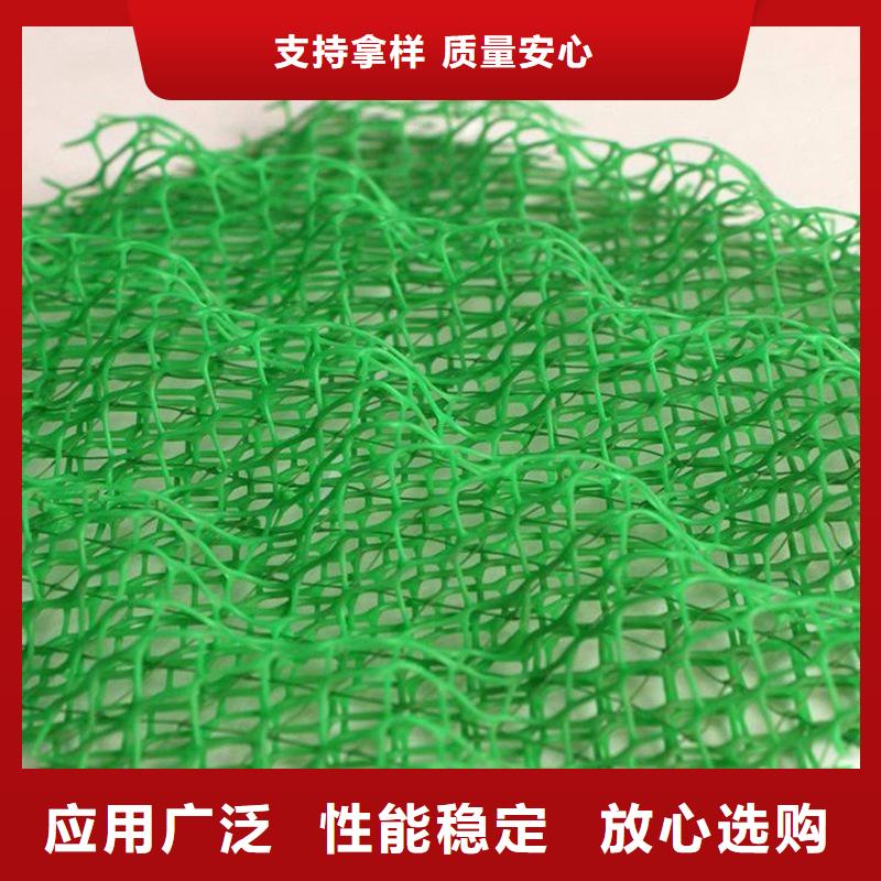 三维植被网【水平止水铜片】生产厂家