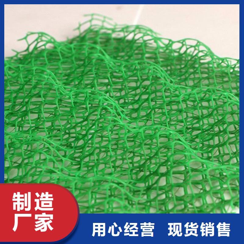 三维植被网_沥青麻絮品质无所畏惧