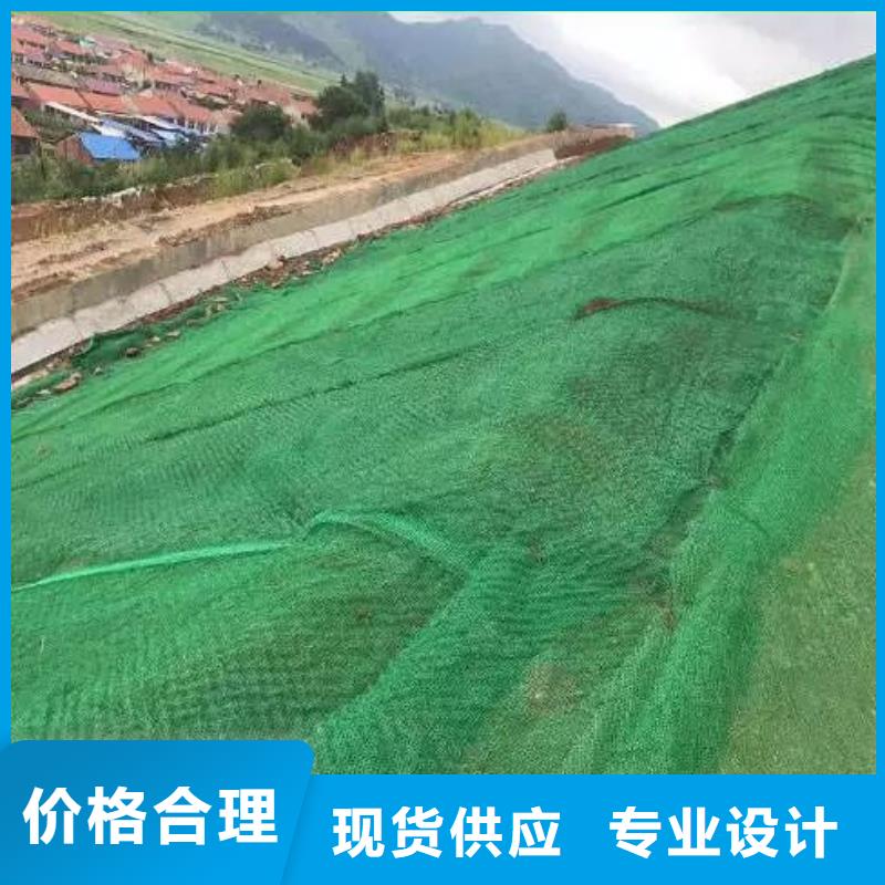 三维植被网-聚乙烯醇纤维定制批发