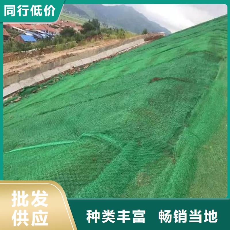 三维植被网【水平止水铜片】生产厂家