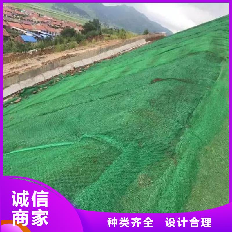 三维植被网_沥青麻絮品质无所畏惧