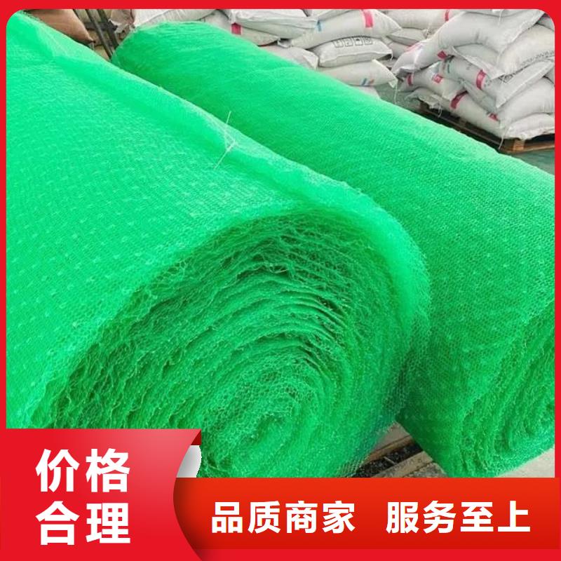 三维植被网【水平止水铜片】生产厂家