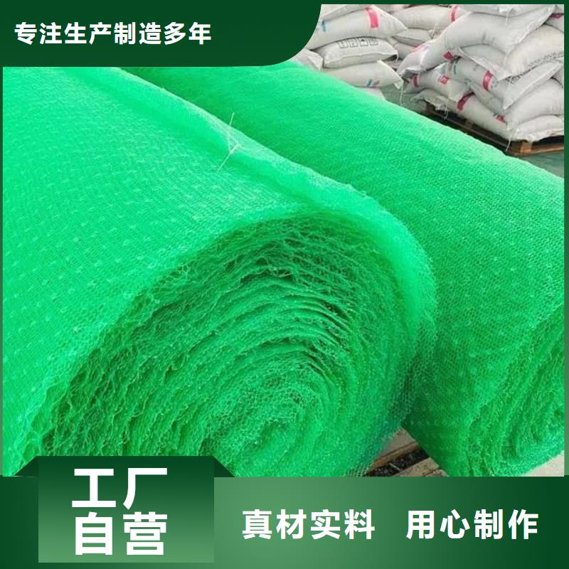 三维植被网_沥青麻絮品质无所畏惧