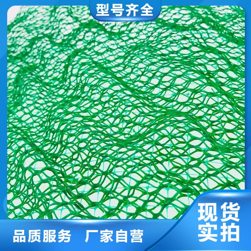 三维植被网-聚乙烯醇纤维定制批发
