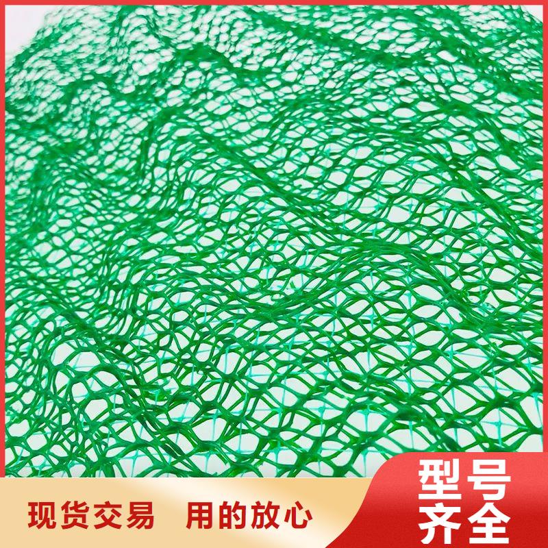 三维植被网_沥青麻絮品质无所畏惧