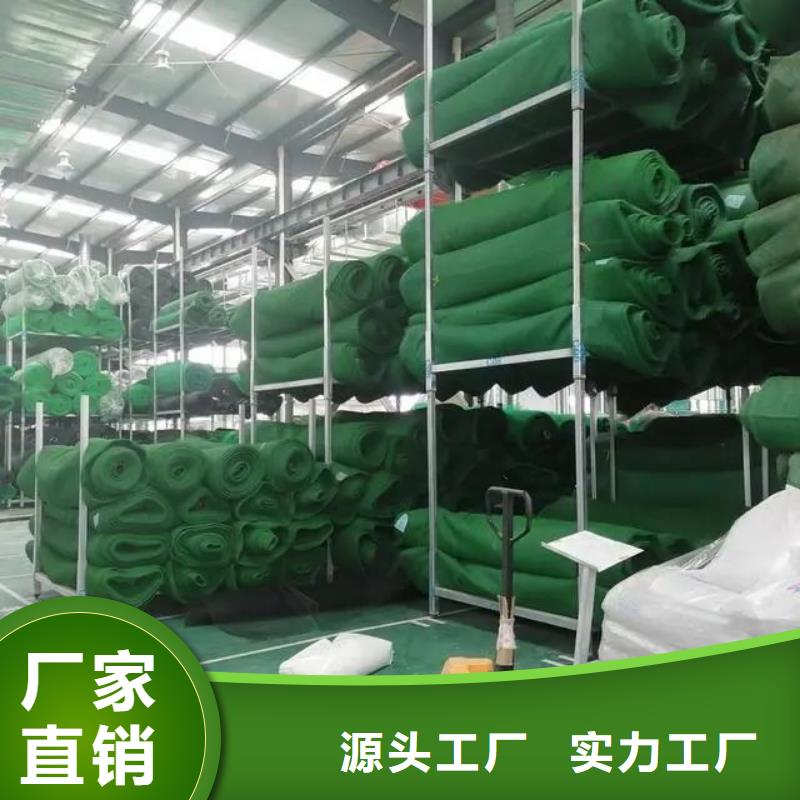 三维植被网_沥青麻絮品质无所畏惧