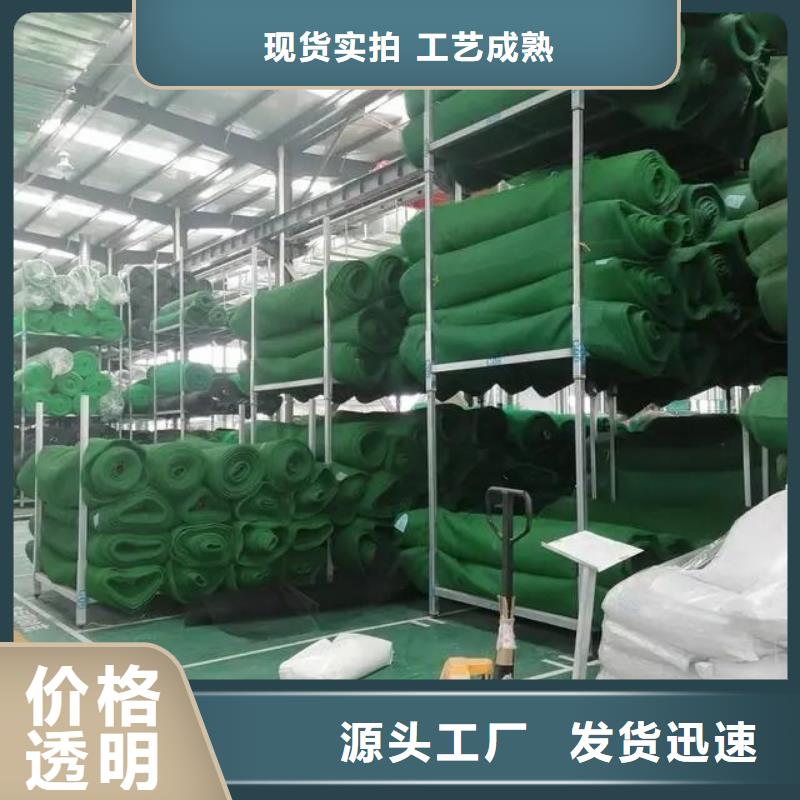 三维植被网-聚乙烯醇纤维定制批发