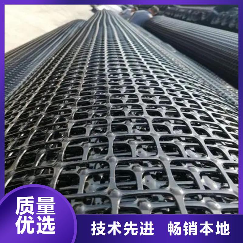 土工格栅聚乙烯醇纤维实力大厂家