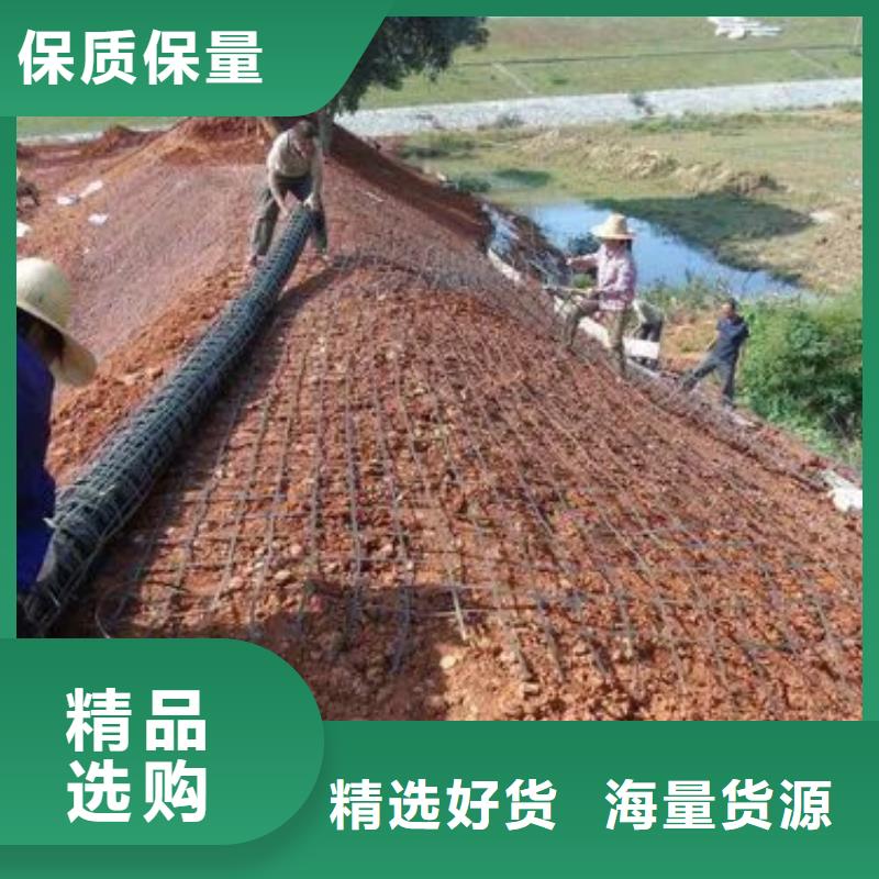 双向土工格栅服务为先厂家