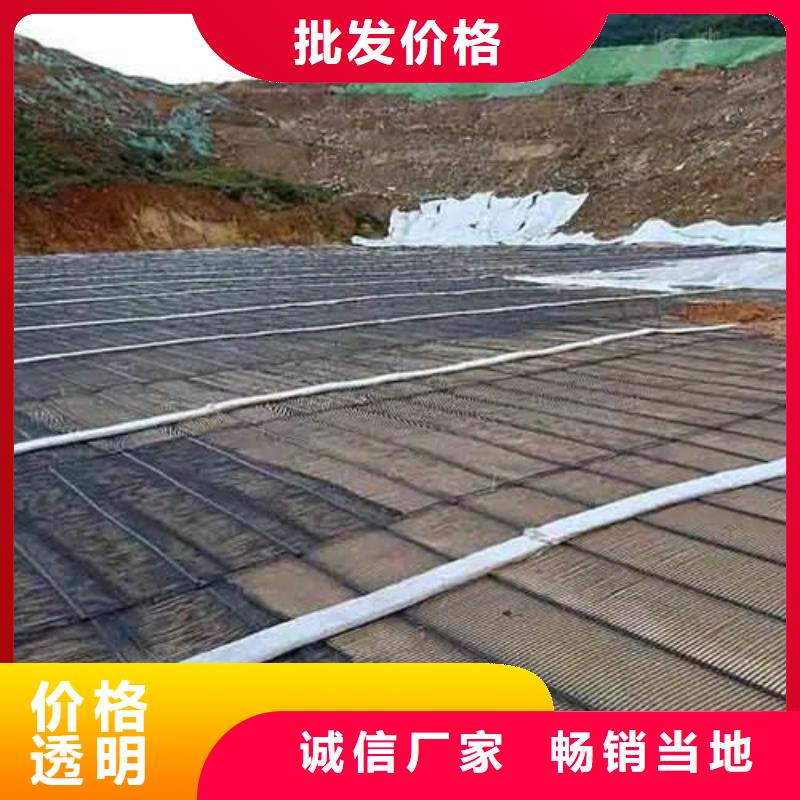 钢塑格栅现货报价电话