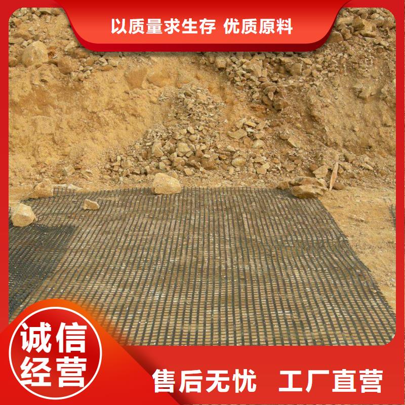 土工格栅图片真正的厂家货源