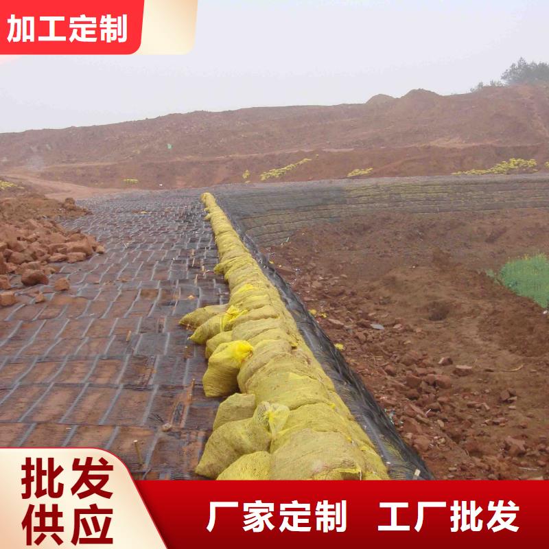 三维土工格栅承接电话