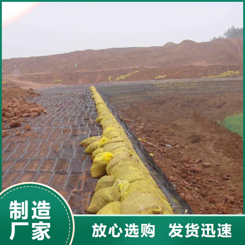 钢塑格栅现货报价电话