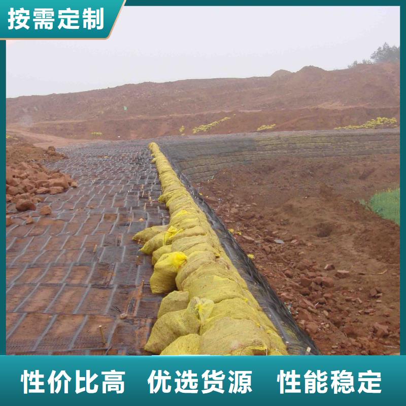 土工格栅采购价格电话