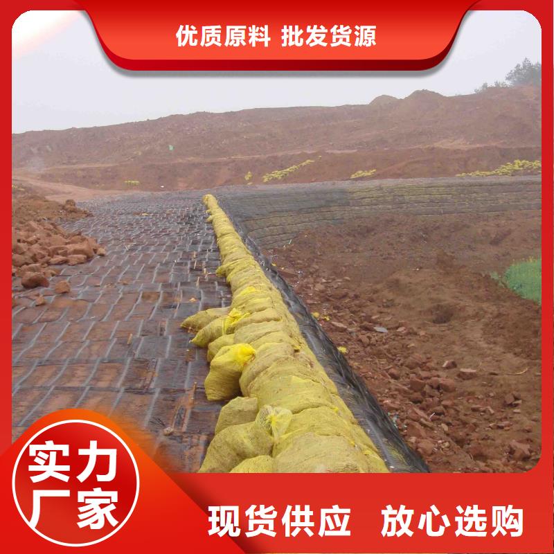 土工格栅多少平米为一批当天发货