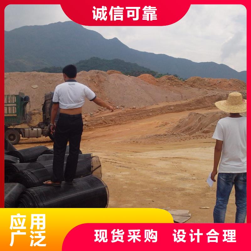 土工格栅图片实体厂家厂家