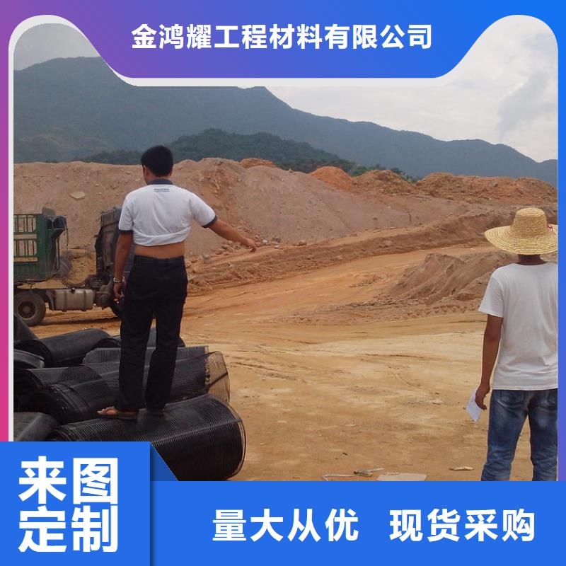 钢塑土工格栅型号终身质保价格