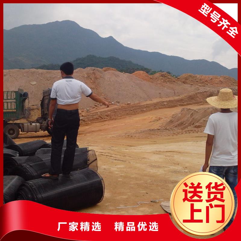 钢塑格栅现货报价电话