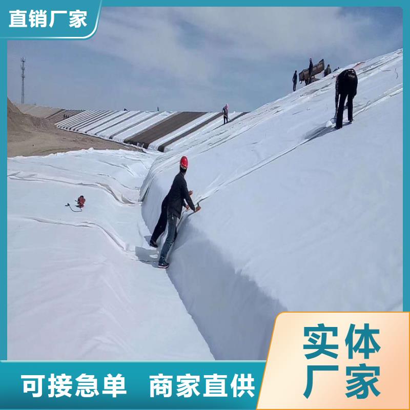 复合土工布-精选厂家