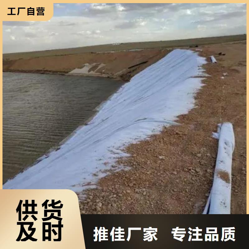 复合土工布-精选厂家