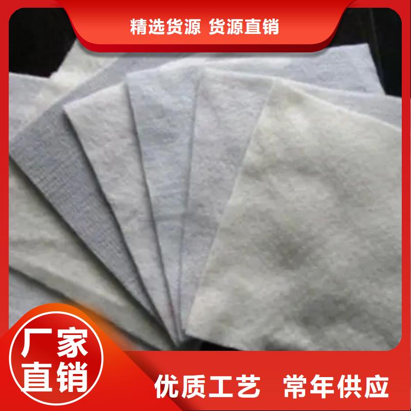 复合土工布-精选厂家