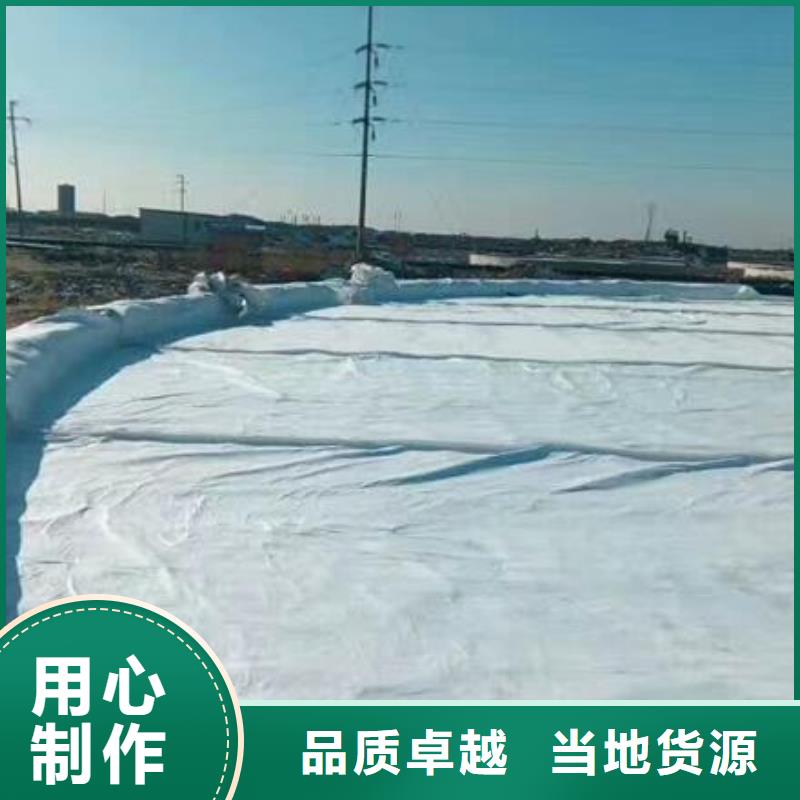 复合土工布-精选厂家
