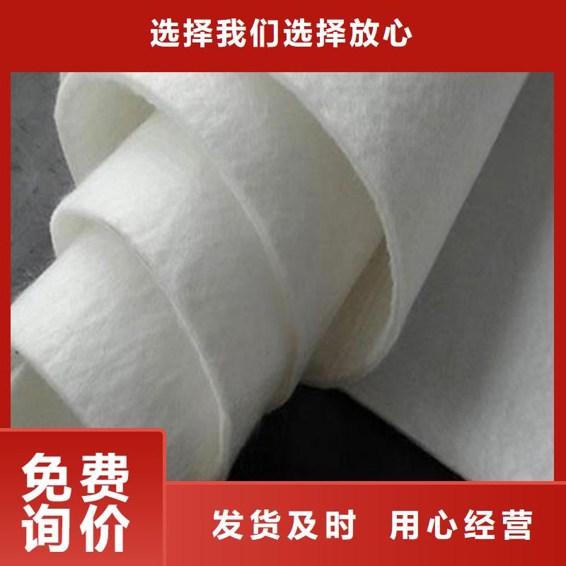 复合土工布-精选厂家