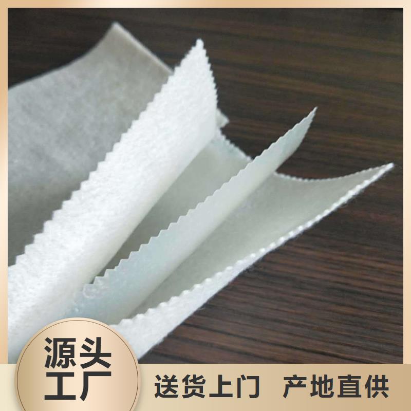 复合土工布-精选厂家