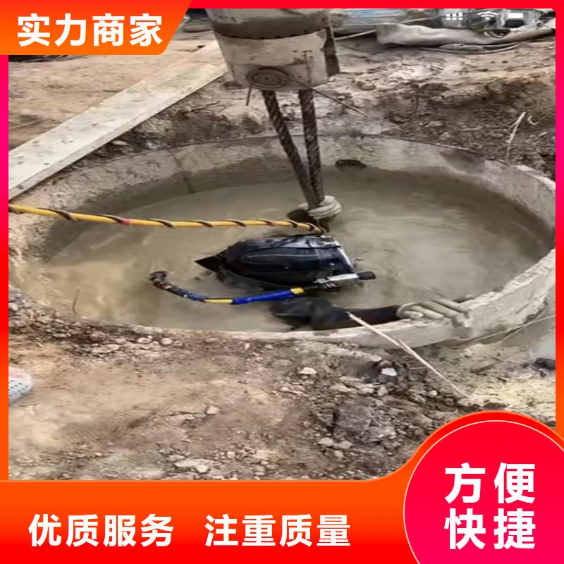 主营产品：水下电焊，录像，爆破，等一切水下作业工程。出厂价