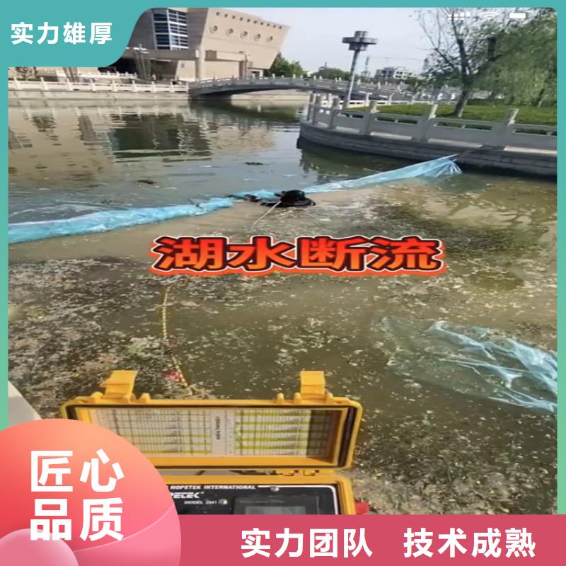 供应批发专业气囊封堵-放心