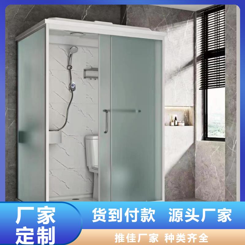 整体式卫浴